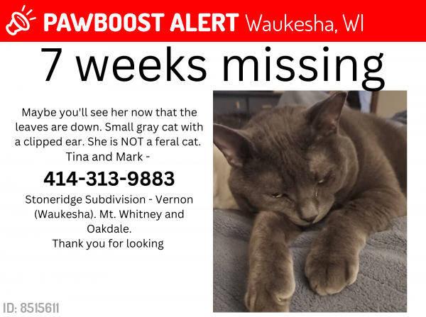 Lost Female Cat last seen Hwy  (Oakdale). Stoneridge Subdivision across from Morningstar Golf Course, Waukesha, WI 53189