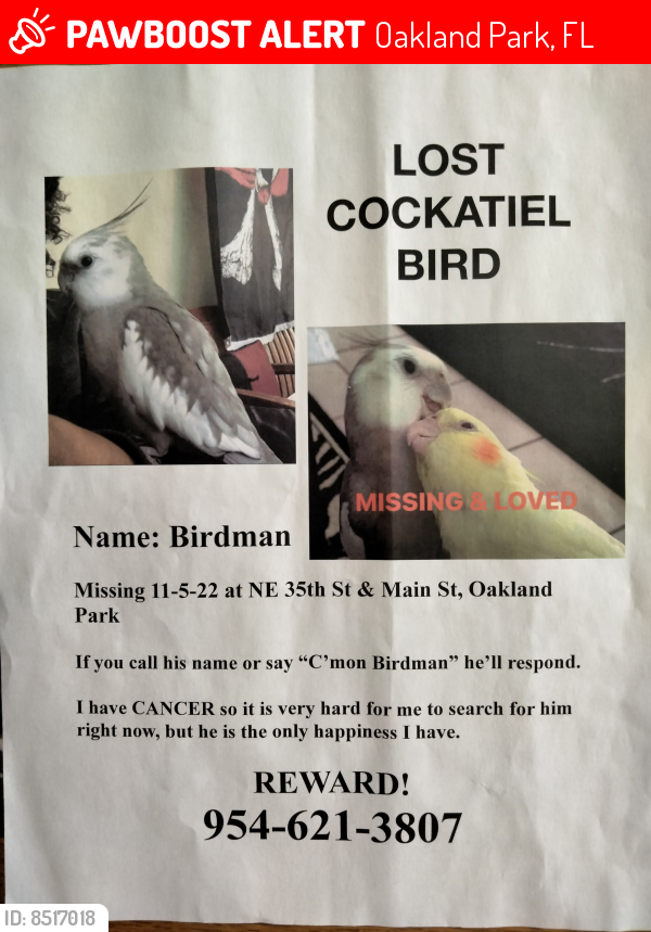 Lost Male Bird last seen Dixie highway , Oakland Park, FL 33334