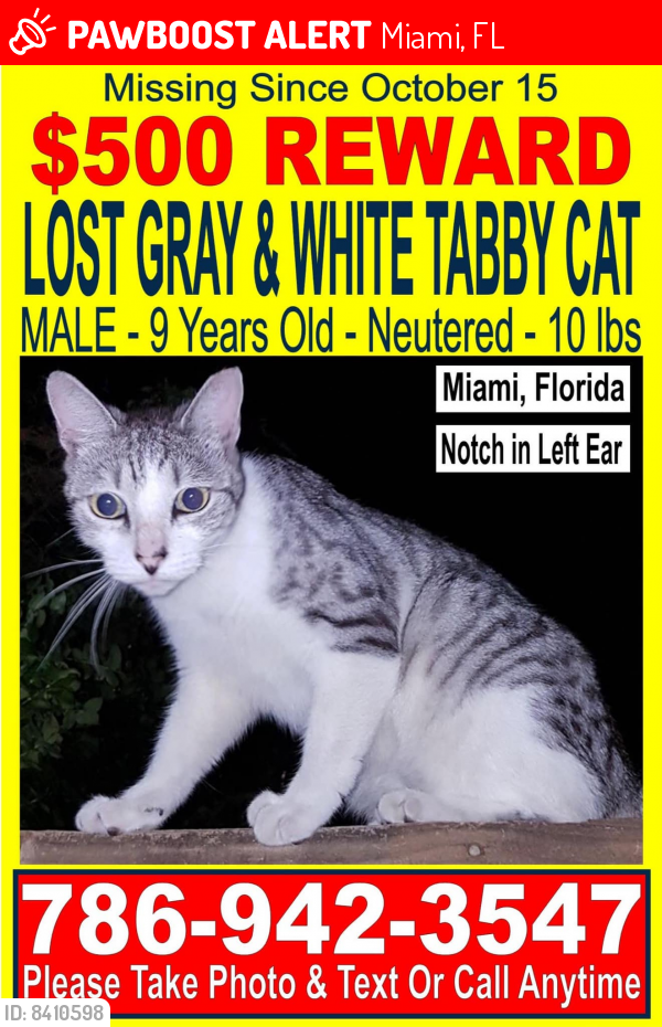 Lost Male Cat last seen Coral Gate, Miami, Miami, FL 33145