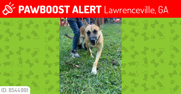Lost Male Dog last seen lawrenceville ga, Lawrenceville, GA 30043
