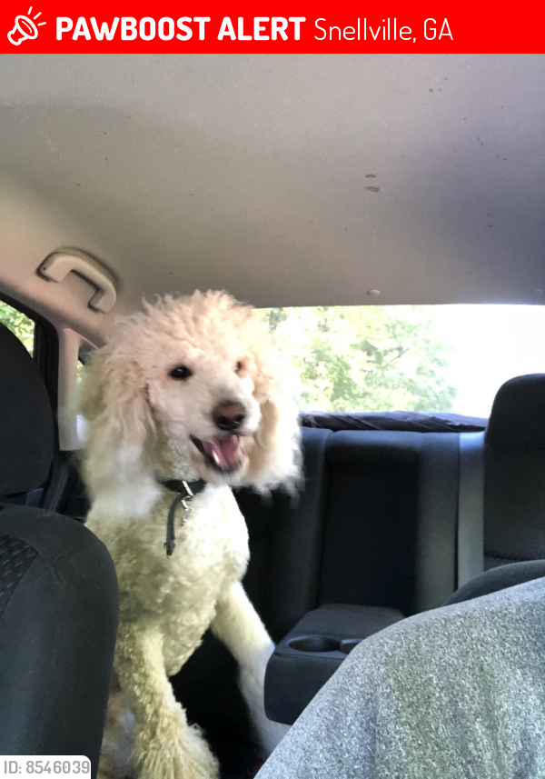 Lost Male Dog last seen Oak rd and Highpoint rd , Snellville, GA 30078