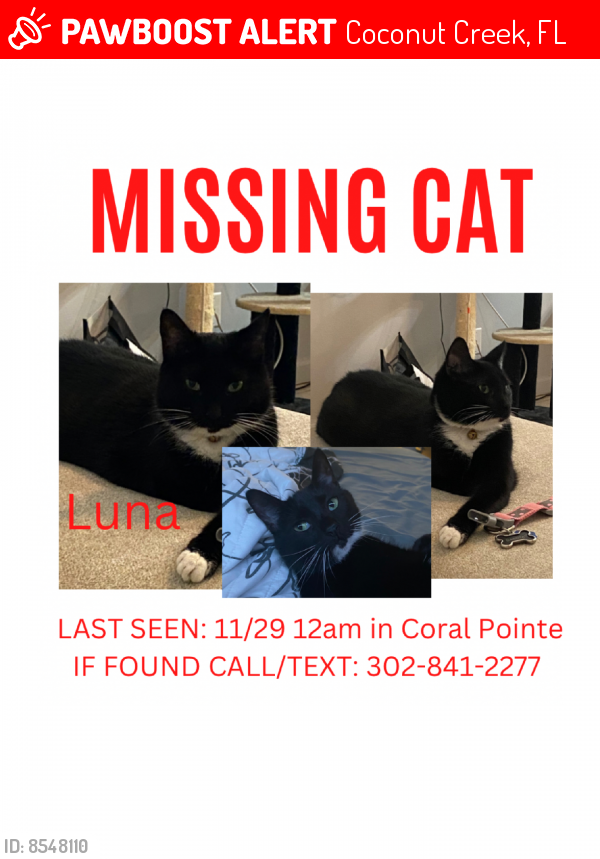 Lost Female Cat last seen Near 56th & 57 Dr. corner closest to entrance, Coconut Creek, FL 33073