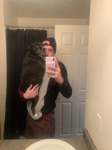 Lost Male Dog last seen 12th and central , Albuquerque, NM 87102