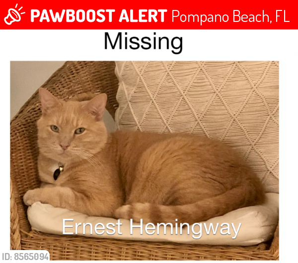 Lost Male Cat last seen Palm Aire Neighborhood, Pompano Beach, FL 33069