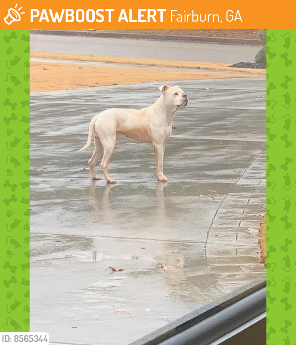 Found/Stray Male Dog last seen Butner/192 Lejardin, Fairburn, GA 30213
