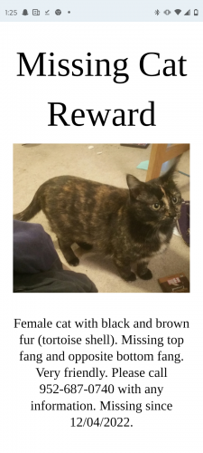 Lost Female Cat last seen Diffely road , Eagan, MN 55123