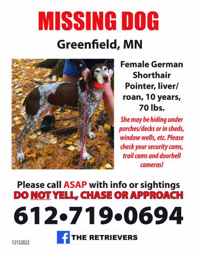 Lost Female Dog last seen Indian trail and county road 10, Rockford, MN 55373