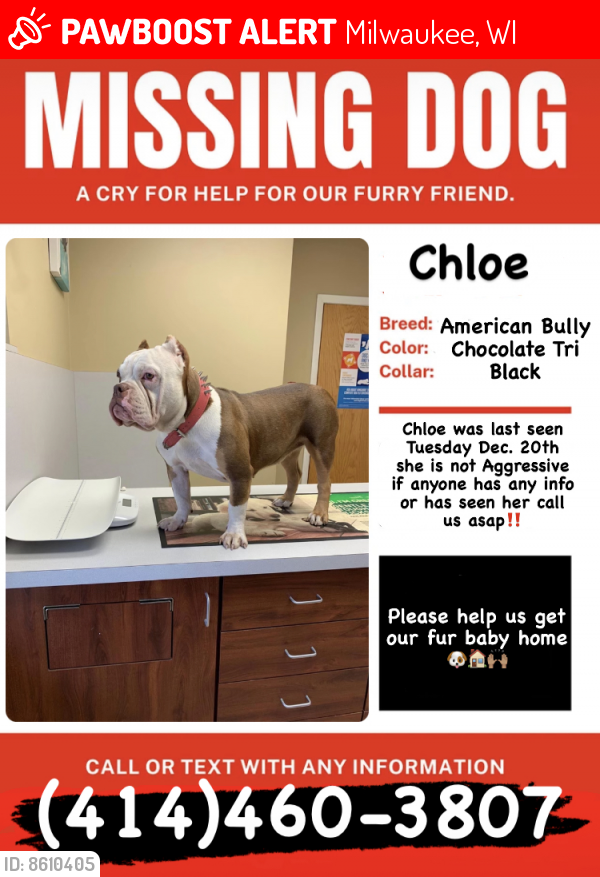 Lost Female Dog last seen Milwaukee , Milwaukee, WI 53204