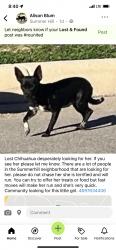 Lost Female Dog last seen Waverunner / Frisbee Path, Converse, TX 78109