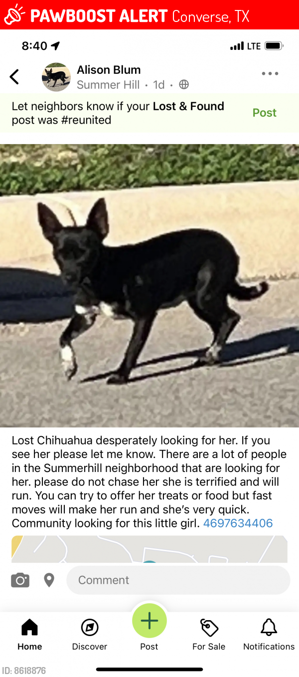 Lost Female Dog last seen Waverunner / Frisbee Path, Converse, TX 78109