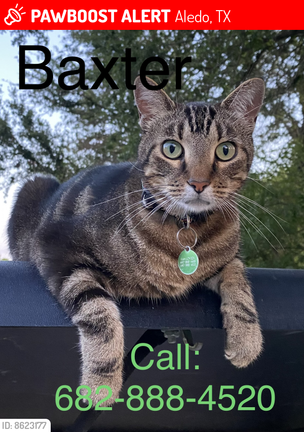 Lost Male Cat last seen Linkwood ests Neighborhood of I30 on West Edge of Fort Worth, Aledo, TX 76008