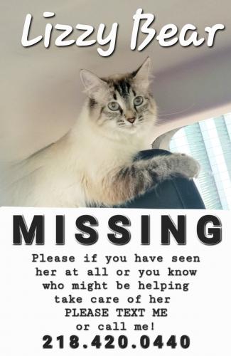 Lost Female Cat last seen Surfs Up poquoson VA, Poquoson, VA 23662