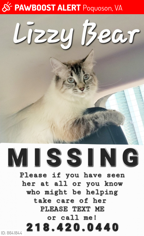 Lost Female Cat last seen Surfs Up poquoson VA, Poquoson, VA 23662