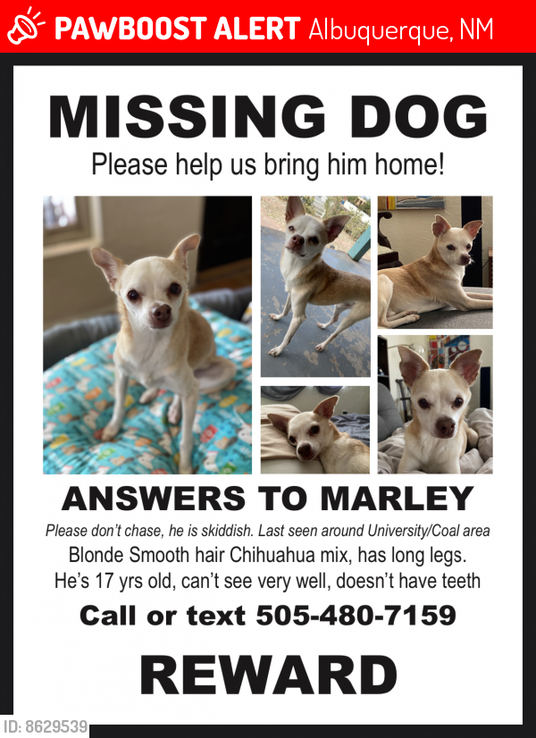 Lost Male Dog in Albuquerque, NM 87106 Named Marley (ID: 8629539 ...