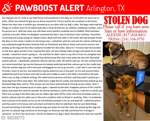 Lost Male Dog last seen Carter and Timberview, Arlington, TX 76014