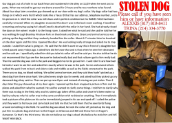 Lost Male Dog last seen Carter and Timberview, Arlington, TX 76014