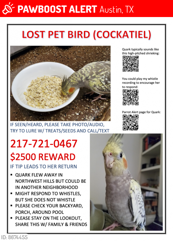 Lost Female Bird last seen Near Hunters Chase Pool, Austin, TX 78729