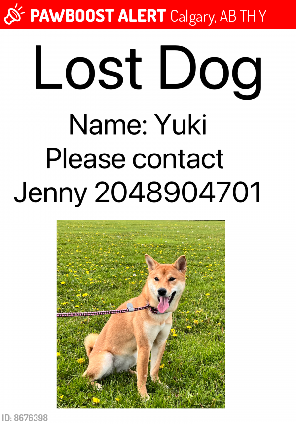 Lost Female Dog last seen the slopes, Calgary, AB T3H 3Y6