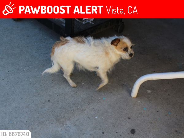 Lost Female Dog last seen Glenmere Rd & Vista way, Vista, CA 92084