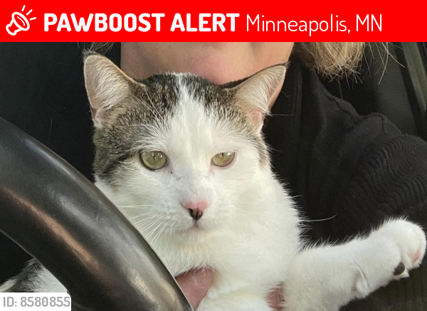 Lost Male Cat last seen 23rd Ave SE and 6th Street SE on the University of Minnesota campus.  Last sighting 8-9 pm on 1/12/23. , Minneapolis, MN 55414