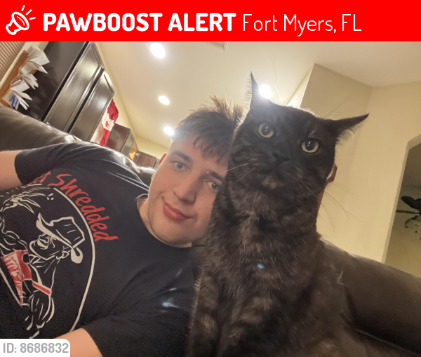 Lost Male Cat last seen Near sumner ave , Fort Myers, FL 33908