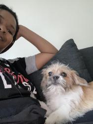 Reunited Female Dog last seen Near East 70th Street Apt1A, Chicago, IL 60649