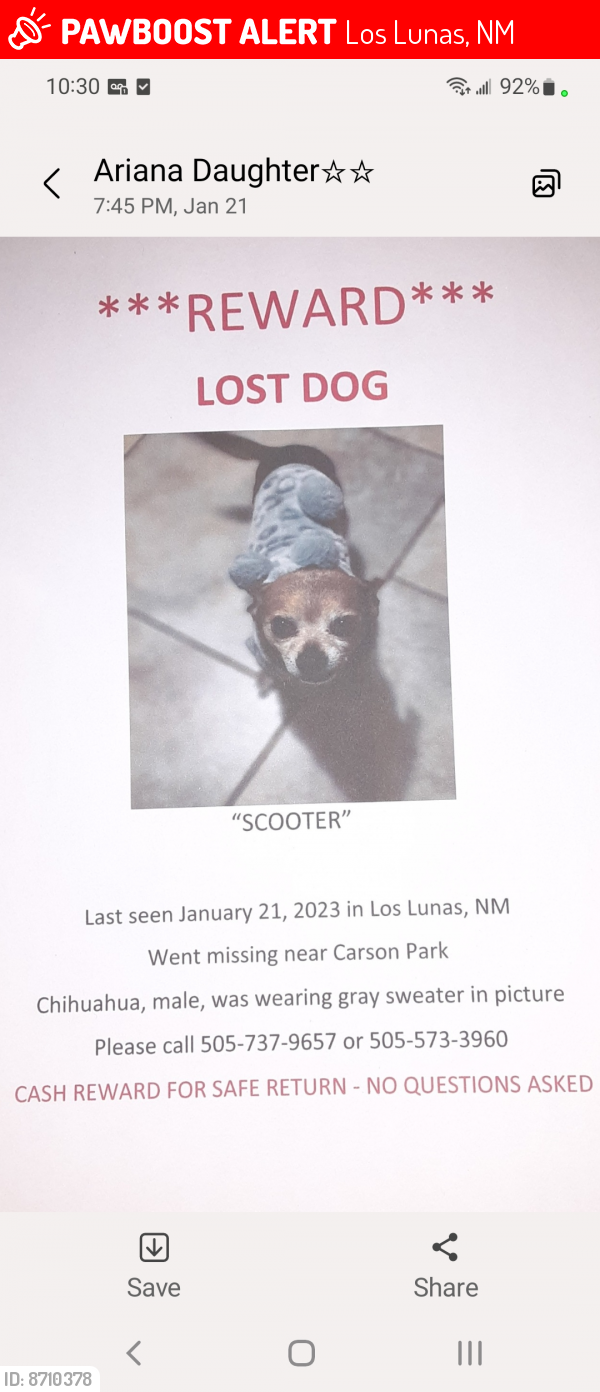 Lost Male Dog last seen Carson Park, Los Lunas, NM 87031