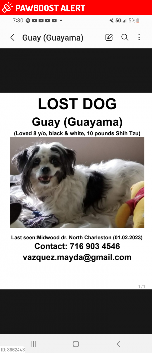 Lost Female Dog last seen Midwood dr North Charleston SC, North Charleston, SC 29420