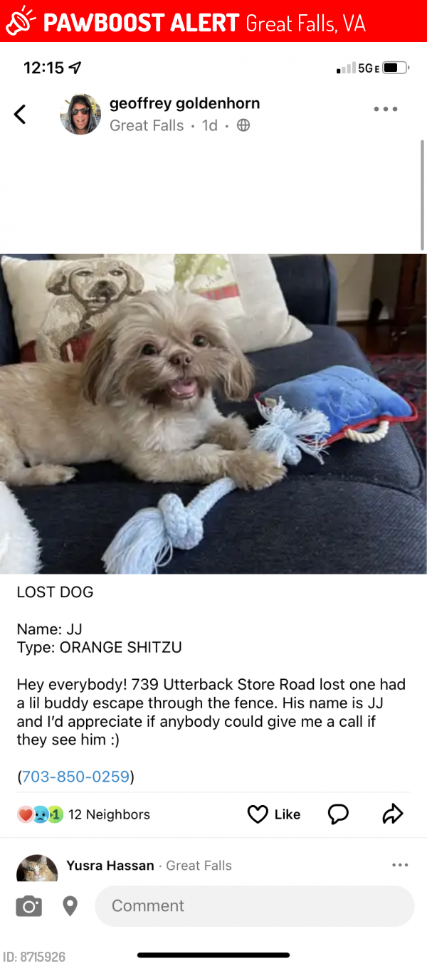 Lost Male Dog last seen Walker rd. , Great Falls, VA 22066