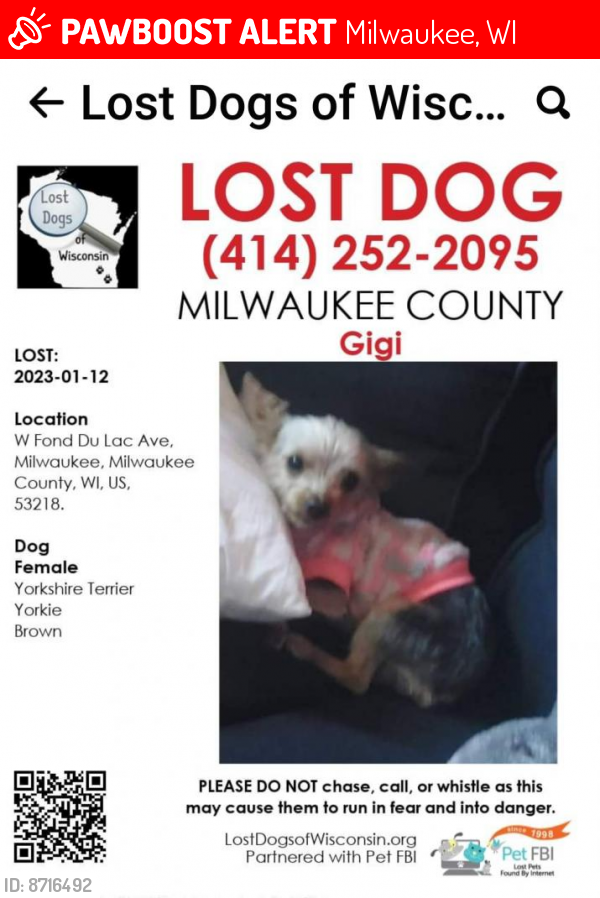 Lost Female Dog last seen Milwaukee Wisconsin Fond du lac,silver spring area , Milwaukee, WI 53225
