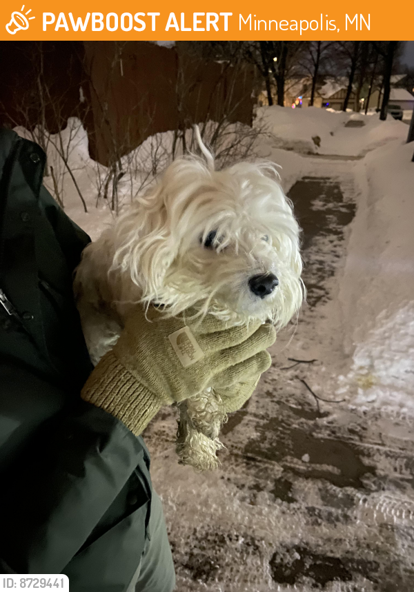 Surrendered Male Dog last seen 15th Ave and 56th st, Minneapolis, MN 55417