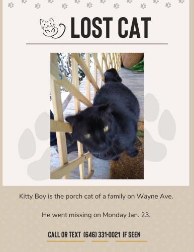 Lost Male Cat last seen Detroit Avenue/Beck Center, Lakewood, OH 44107