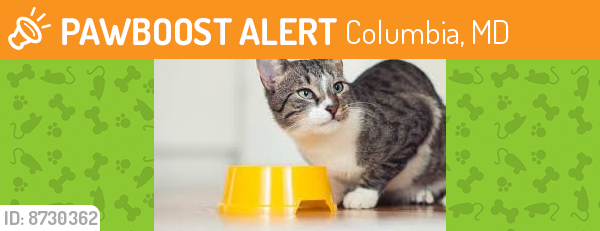 Found/Stray Unknown Cat last seen smith's private road, columbia md. , Columbia, MD 21045