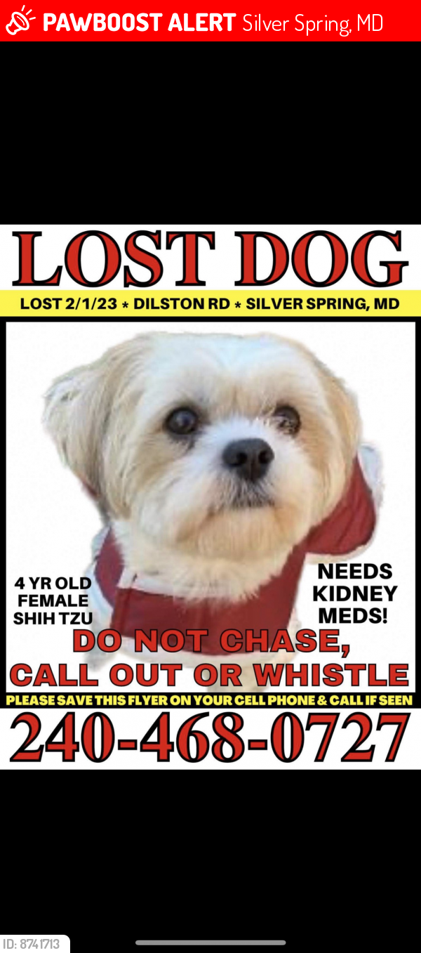 Lost Female Dog last seen Dilston Rd Silver Spring , Silver Spring, MD 20903