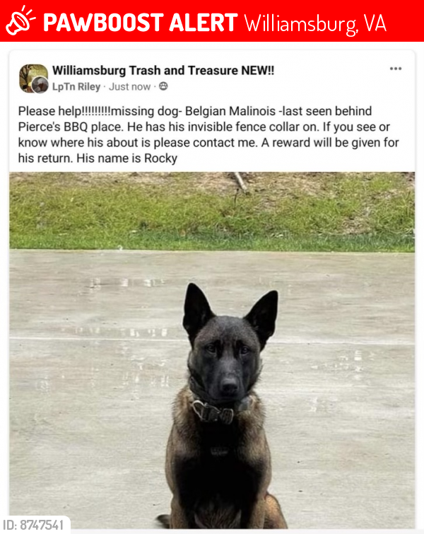 Lost Male Dog last seen Pierces barbecue Williamsburg Virginia, Williamsburg, VA 23187