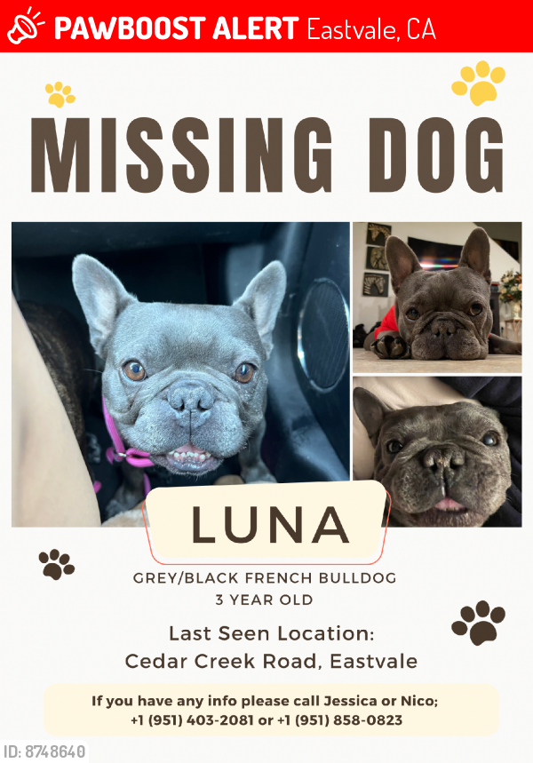 Lost Female Dog last seen Harrison & Schleisman, Eastvale, CA 92880