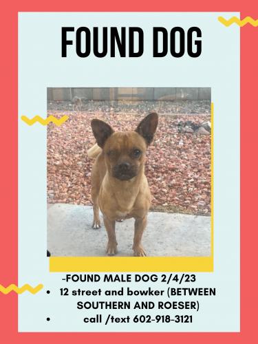 Found/Stray Male Dog last seen Southern and 16st , Phoenix, AZ 85040