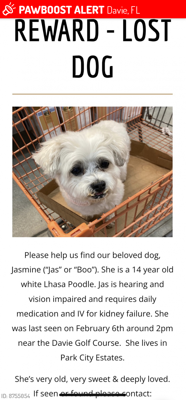 Lost Female Dog last seen Davie Golf Course - 8201 Nova Drive, Davie, FL 33324