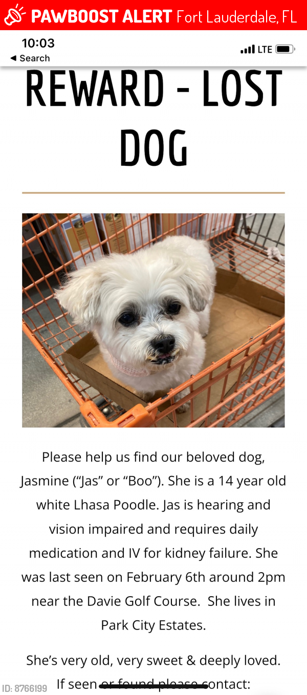 Lost Female Dog last seen Park City ests, Fort Lauderdale, FL 33328