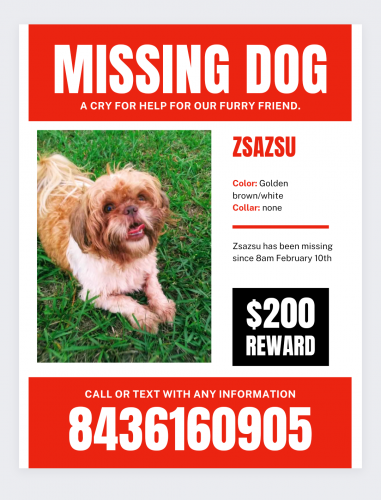 Lost Female Dog last seen last seen at the laundromat on Keith Street, Timmonsville, SC 29161