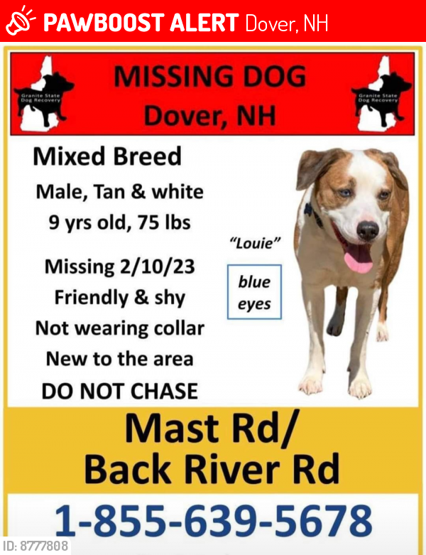 Lost Male Dog last seen Horne St, Dover, NH 03820