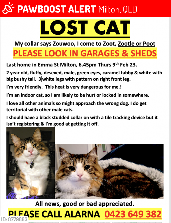 Lost Male Cat last seen Heussler , Milton, QLD 4064