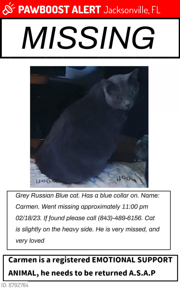 Lost Male Cat last seen Odessa and Commonwealth, Jacksonville, FL 32254