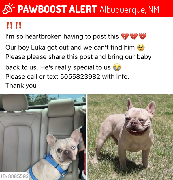 Lost Male Dog last seen Powers way & Coors , Albuquerque, NM 87121