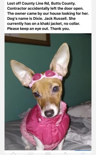 Lost Female Dog last seen Hwy 42 , hwy 16 , canup road and England chappel road, Jenkinsburg, GA 30234