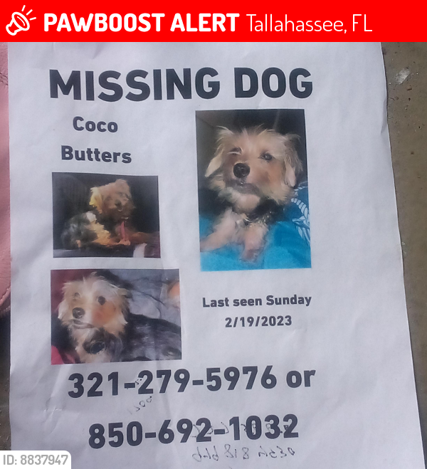 Lost Female Dog last seen Tharp, Tallahassee, FL 32303