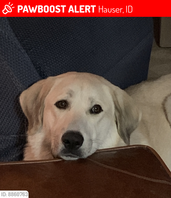 Lost Female Dog last seen Hauser Gun Club, Hauser, ID 83854