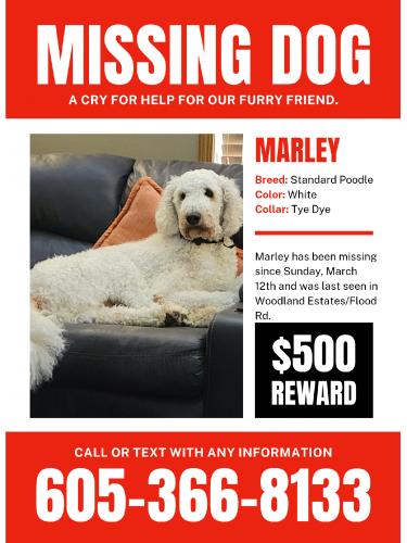 Lost Male Dog last seen Flood Road, Cascade County, MT 59404