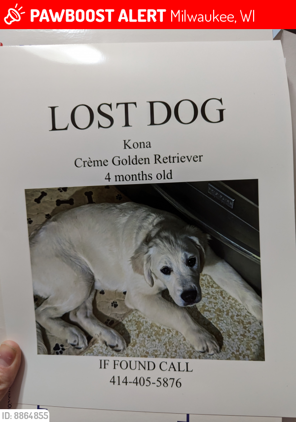 Lost Female Dog last seen 98th and Lisbon Ave , Milwaukee, WI 53222