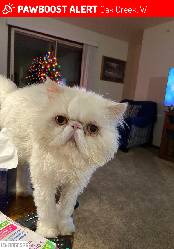 Lost Male Cat last seen Off Puetz, between 13th and 27th, Oak Creek, WI 53154